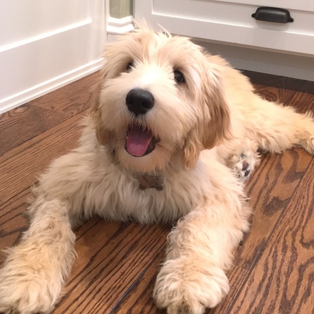 Meet your Posher, Kate